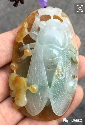 翡翠小昆虫的代表---金蝉