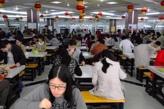 承包9000人的學校食堂,每年租金500萬,這個能接手嗎?