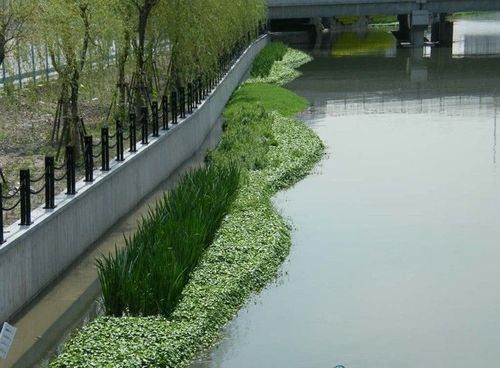 上海水体修复公司分享高新污染河道水体生态修复方法,快来看看吧