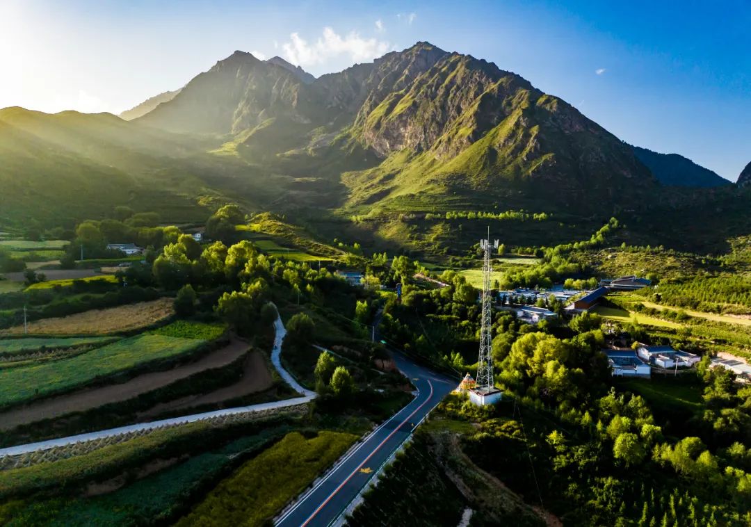 沉浸自然之美:探索冶力关森林公园的宁静与和谐