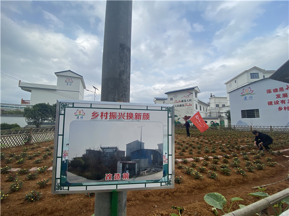 「文旅桂林行」荔城镇黄寨村莲塘屯乡风貌改造换新颜