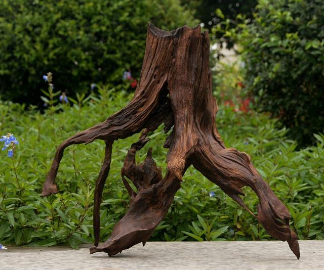 沉木的处理,关于鱼缸造景沉木的问答