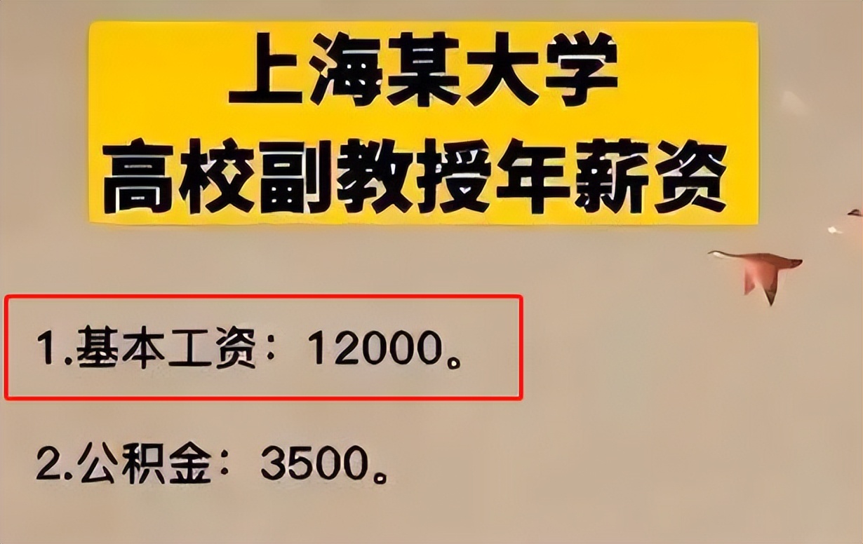 985高校副教授晒年薪,金额令人羡慕,网友:没有对比就没有伤害