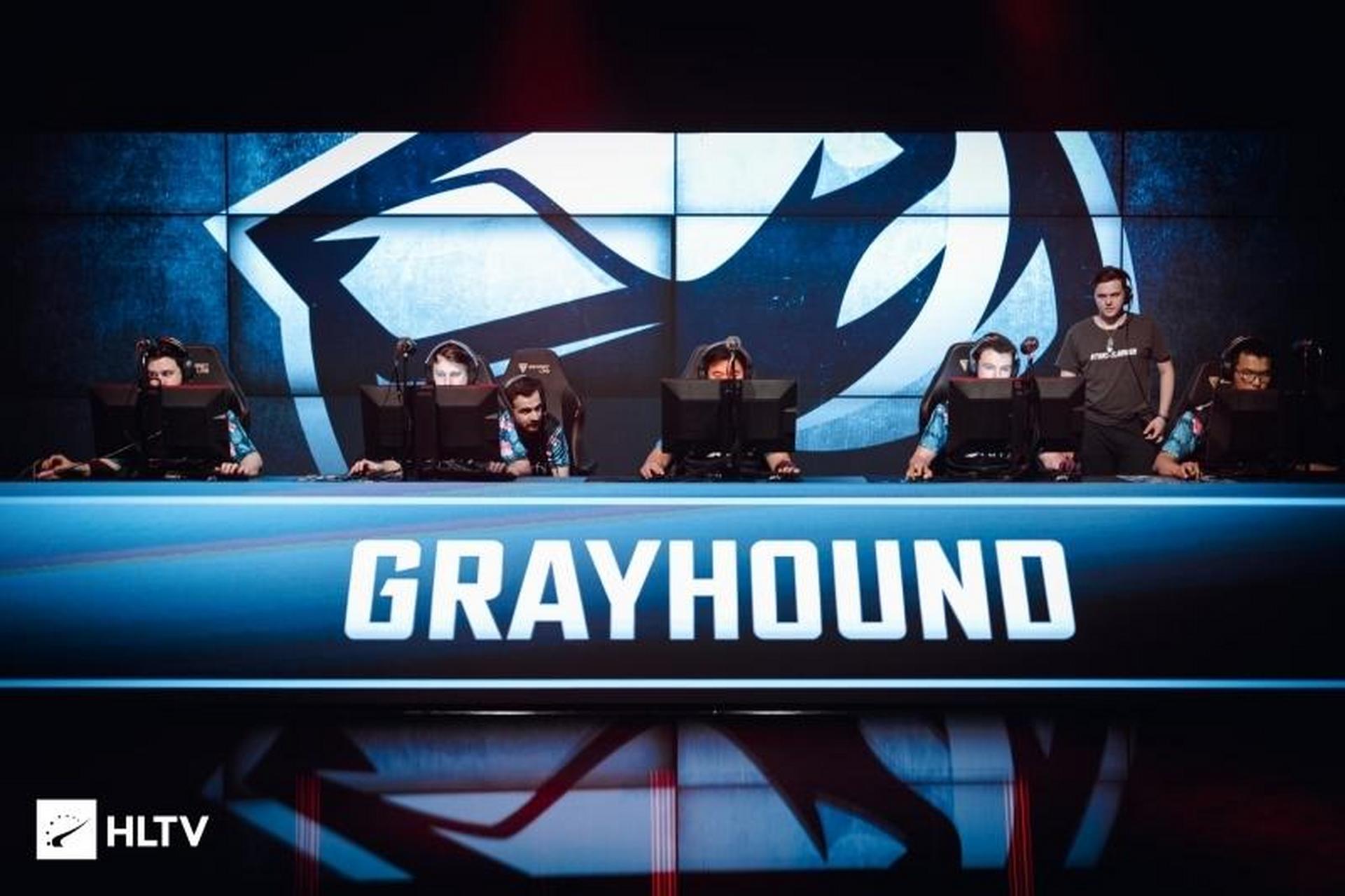 灰狗grayhound晋级omen挑战赛 主播队lq国际首秀