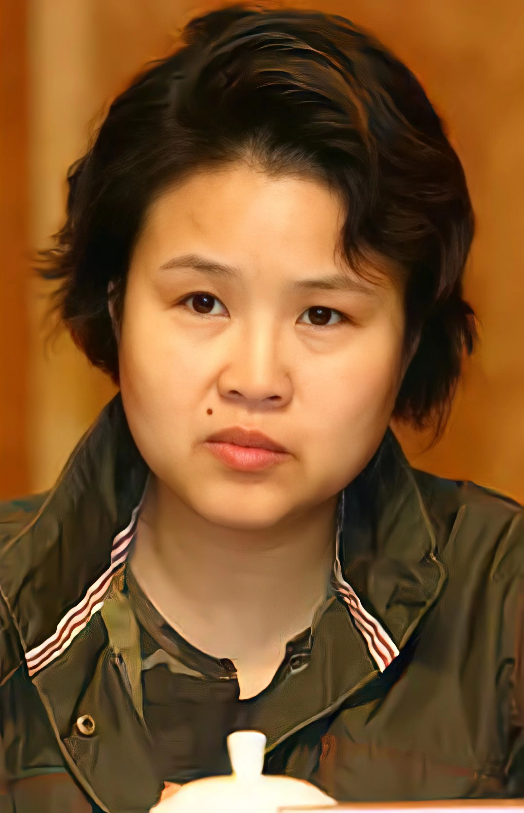 恭喜!于蕾担任2023年春晚总导演,盘点6位历年春晚女导演