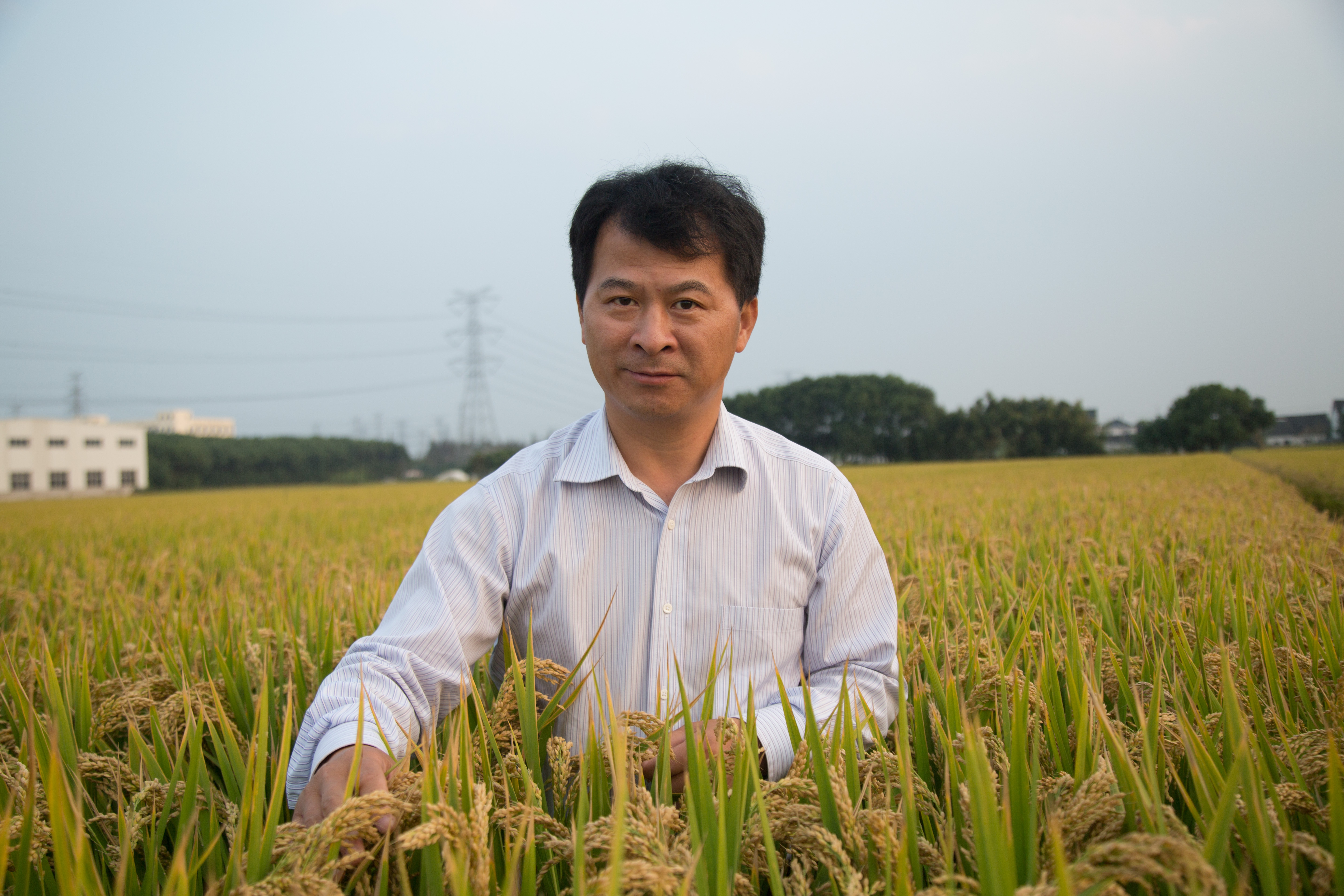 有话说|曹黎明:做强优质闵行地产农产品牌