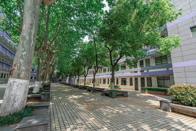 多少分可以报考南京市第六十六中学?校领导亲自解答!