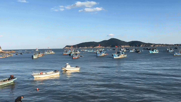 威海人凭啥骄傲?就凭100元实现「海鲜的自由」