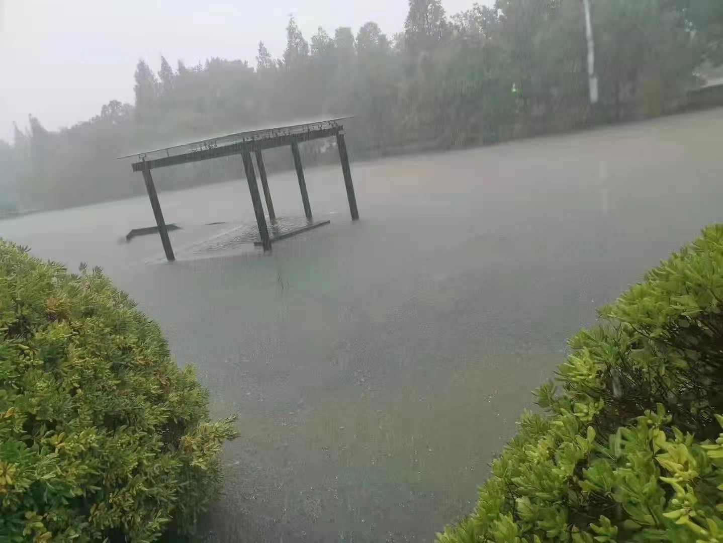 郑州大学暴雨图片