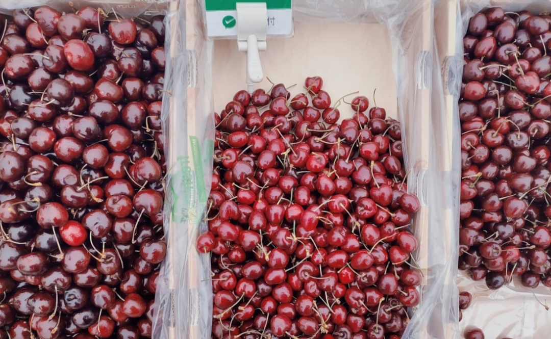 武清梅厂镇大集·一定要来看看