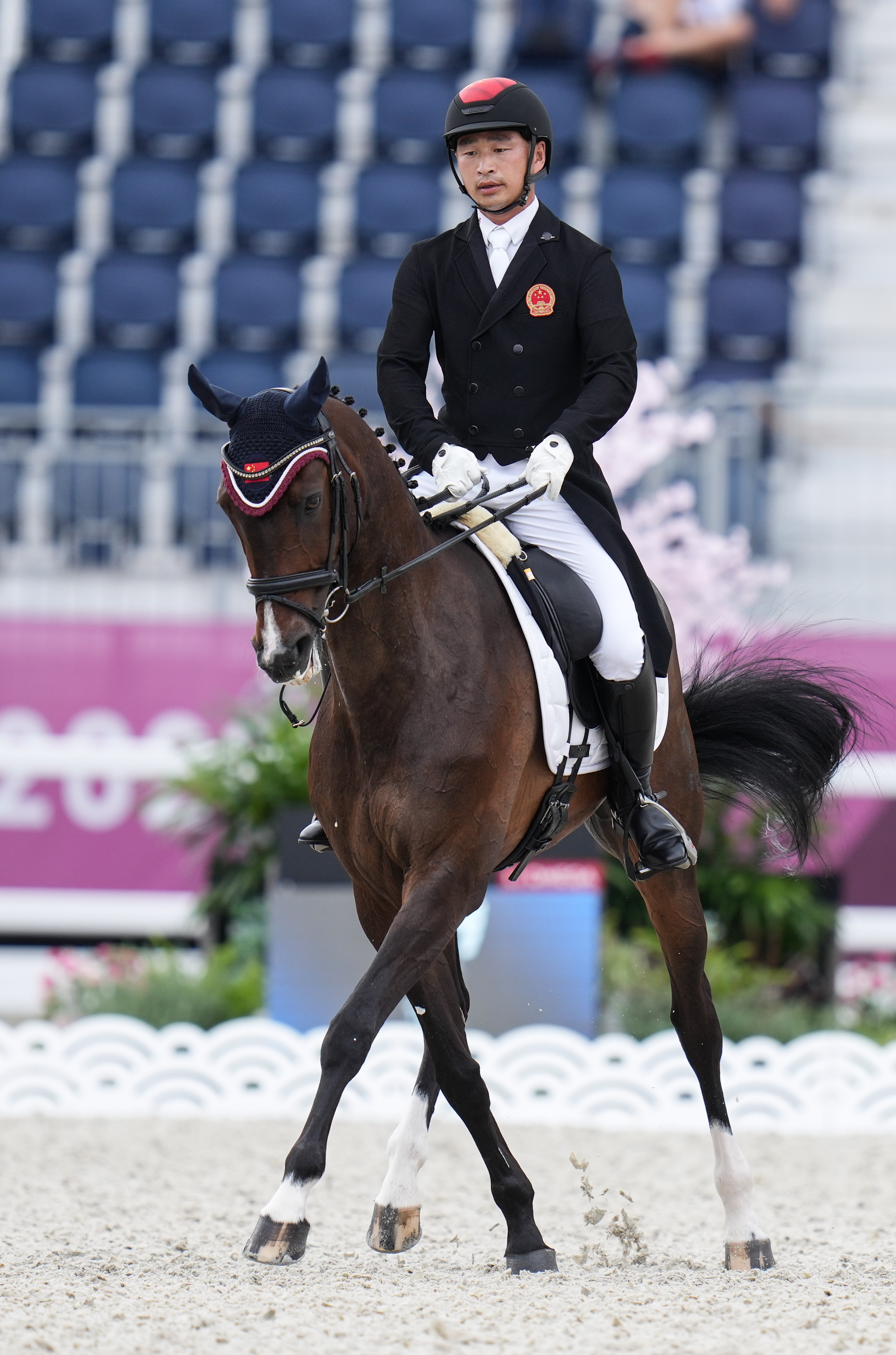 马术——马术三项赛盛装舞步第二日赛况