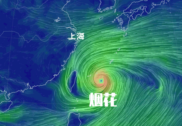 4米!能扛住17级以上台风灿都吗?