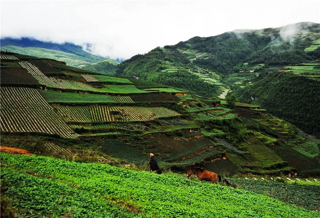 四川三個旅遊之地,風景優美,比成都受歡迎,人流量超過其他地區