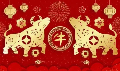 2021年带牛红色的图片图片