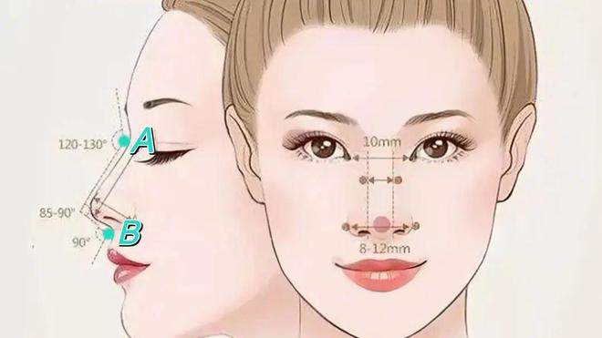 什么样的鼻子比较好看