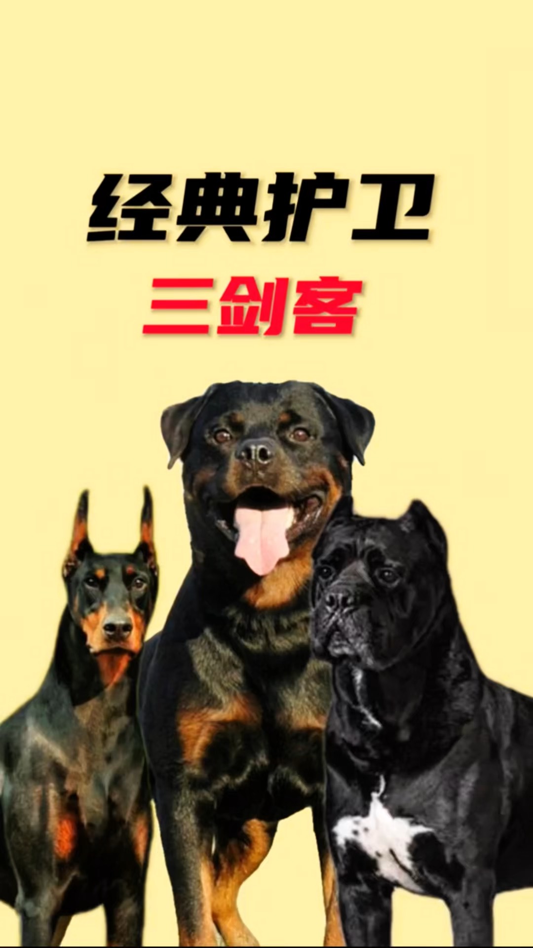 犬科三巨头图片