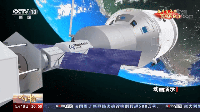 它的祖先像只兔子,还进化出了蹄兔和海牛 放虎归山!