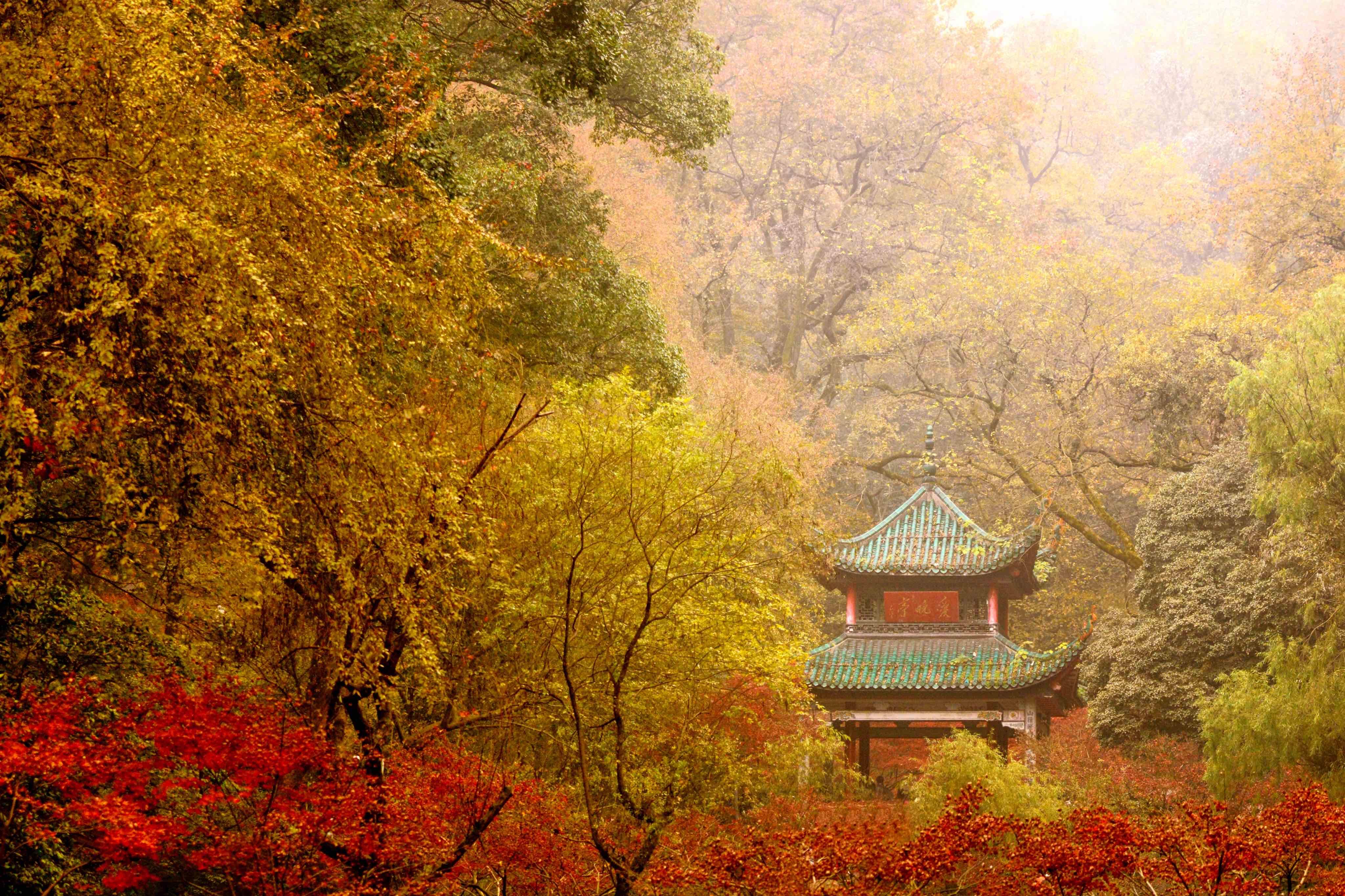 岳麓山的图片图片