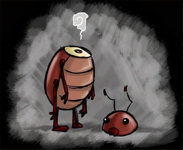 九成人不知蟑螂的克星是啥家里面放点它蟑螂跑光光了