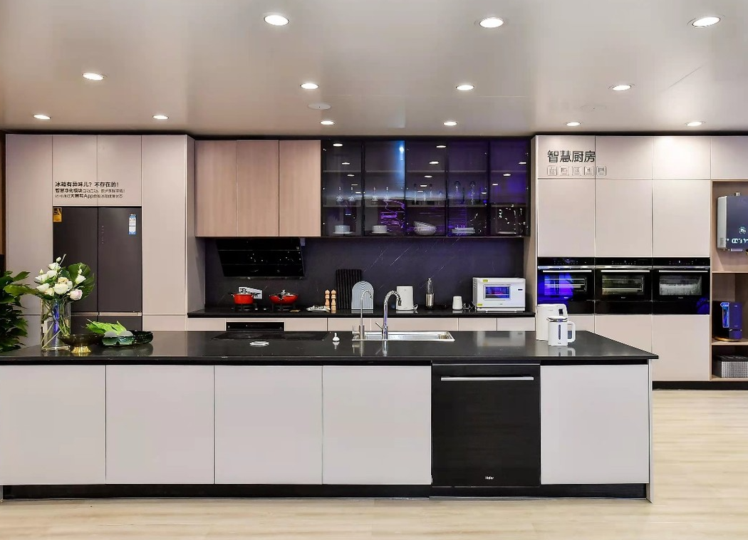 浅谈海尔商业生态系统的构建动因及整体描述