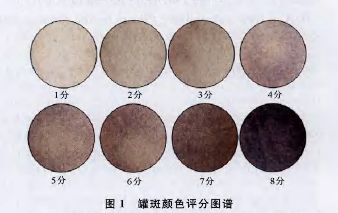 拔罐颜色越深"毒"越多?罐印颜色深浅反映的其实是