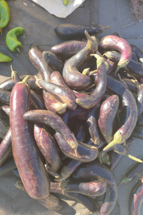 武清梅厂镇大集·一定要来看看