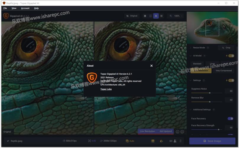 topaz gigapixel ai官方直装中文版软件下载及安装教程