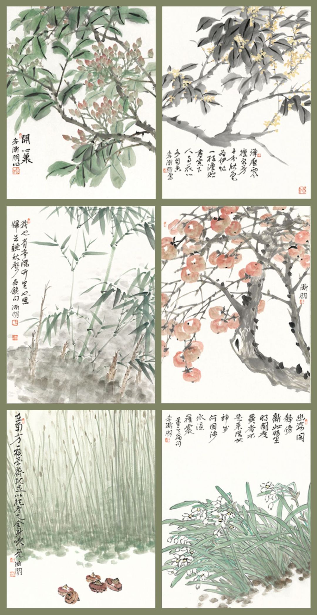 独家复活|中国最美的书——《植物先生》,到底有何魅力?