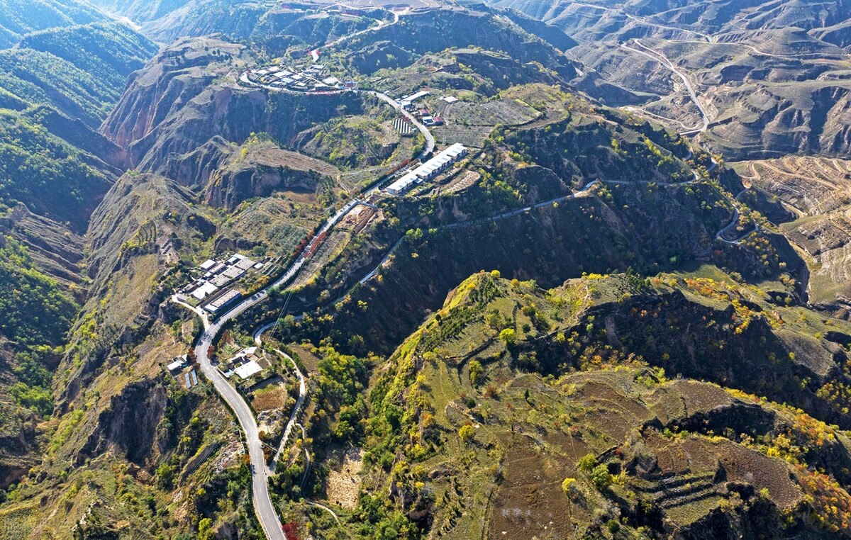 山西省临汾市仲秋时分,永和县乾坤湾乡东征村周围,大地一片金黄