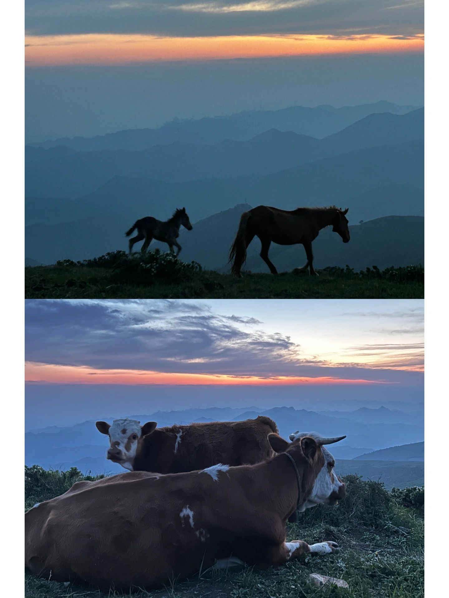 关于周五下班直奔东灵山夜爬看日出这件事
