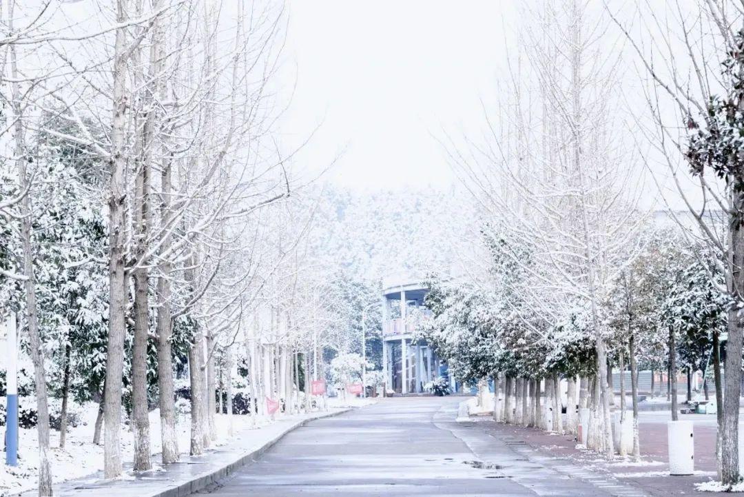 庐山艺术特训营 i 往期回顾 i 点亮设计梦想