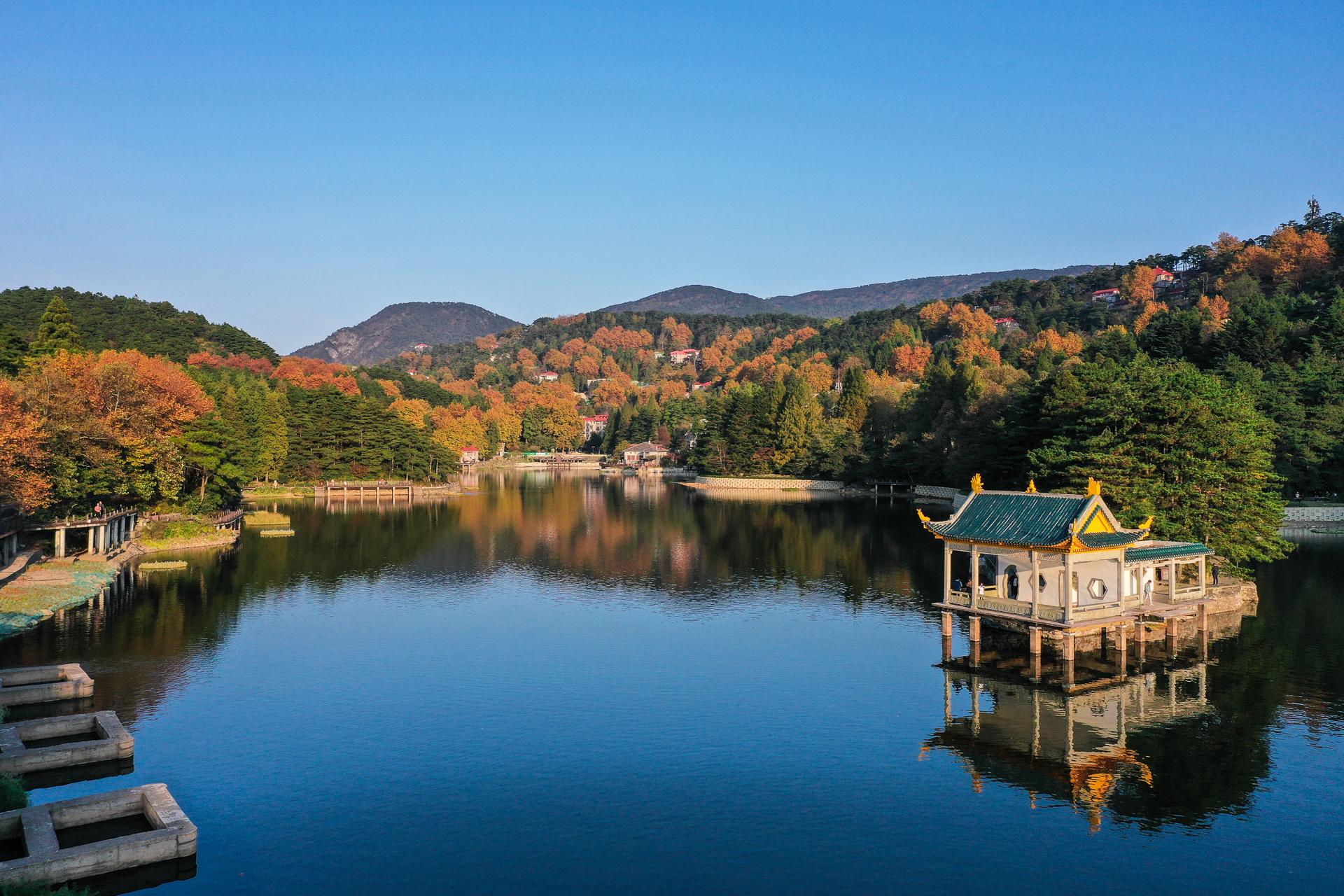 秋天的庐山,漫山遍野层林尽染,来庐山奔赴一场秋天的浪漫