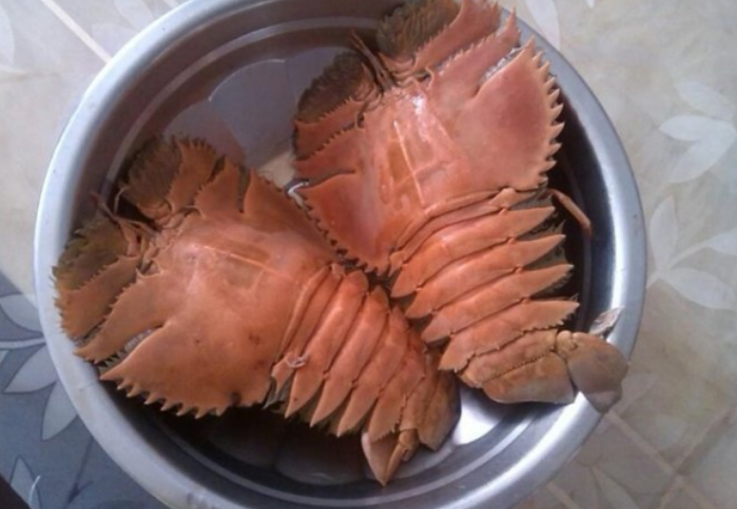 "拖鞋虾"国内80元一斤,印度却多到吃不完,想卖到中国,被拒绝