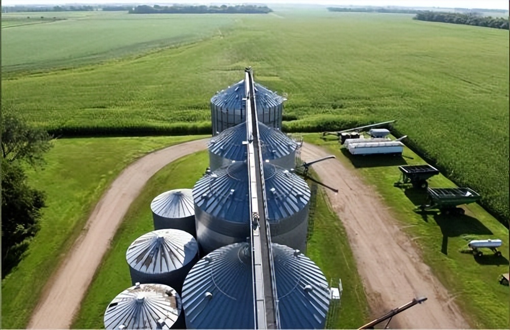 美国阻碍我国农业强国建设?利用垄断霸权疯狂攫取利益!