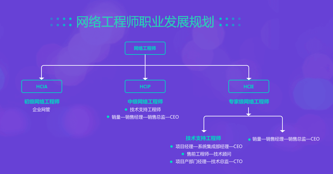 网络工程专业就业方向图片