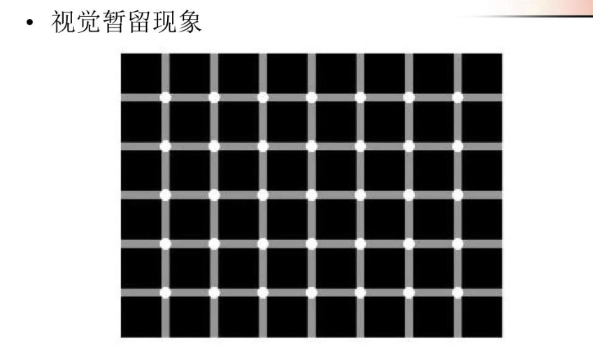 你的眼睛为什么会被骗?揭秘视觉残留效应的奥秘
