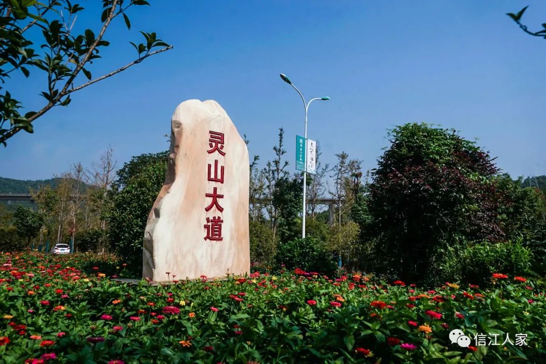 上饶:鲜花盛开的灵山大道