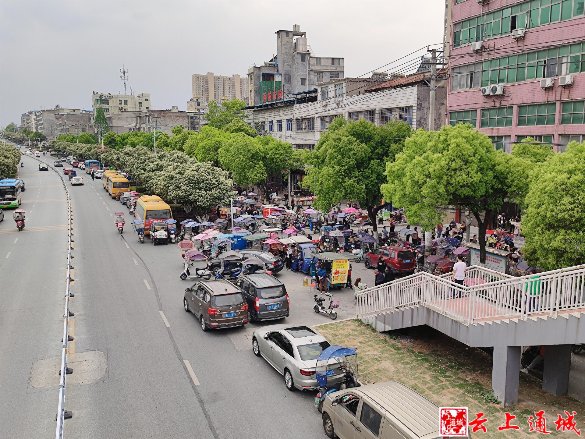 通城县隽水大桥设计图图片