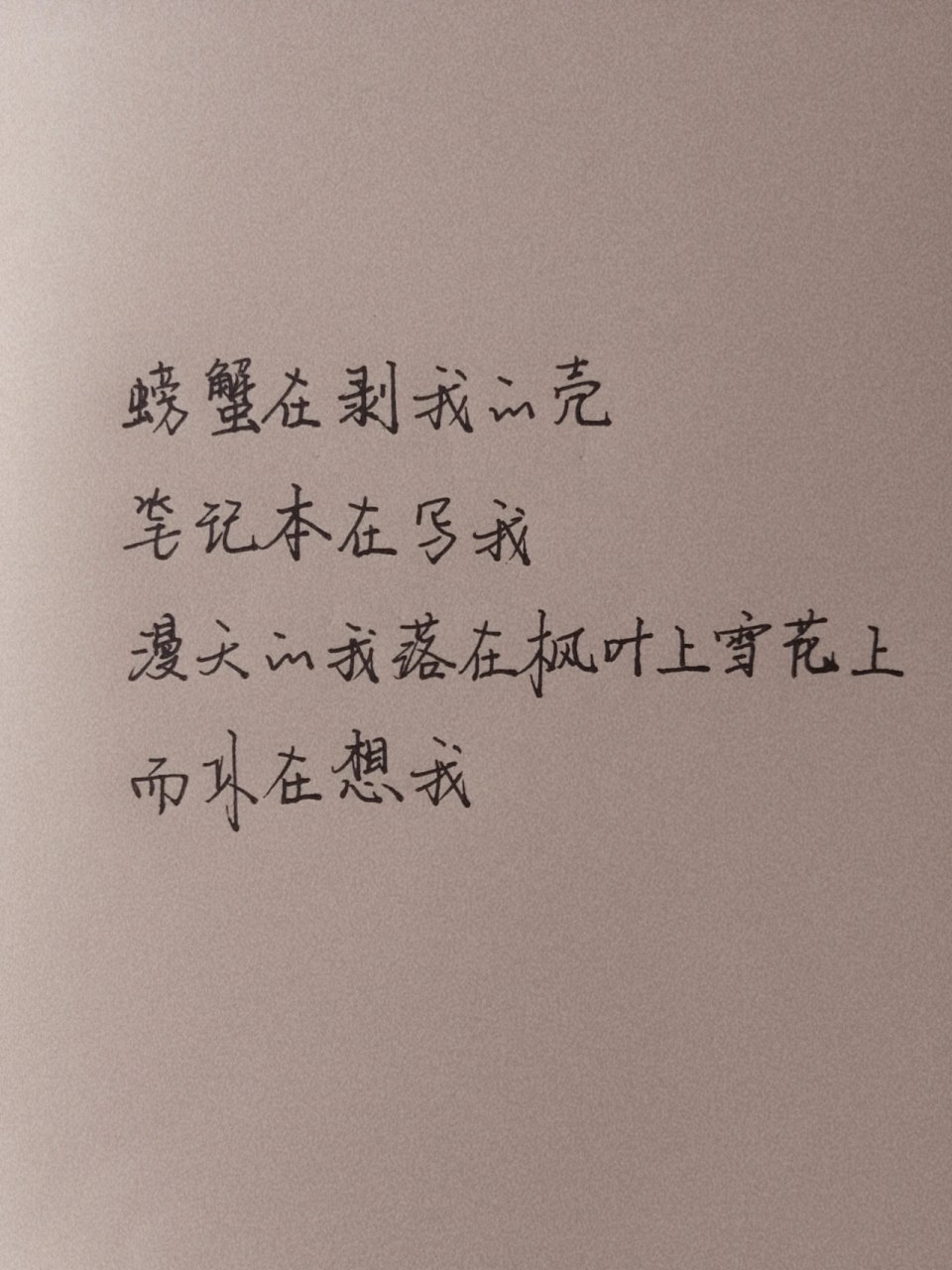 "螃蟹在剥我的壳,笔记本在写我,漫天的我落在枫叶上雪花上,而你在想我