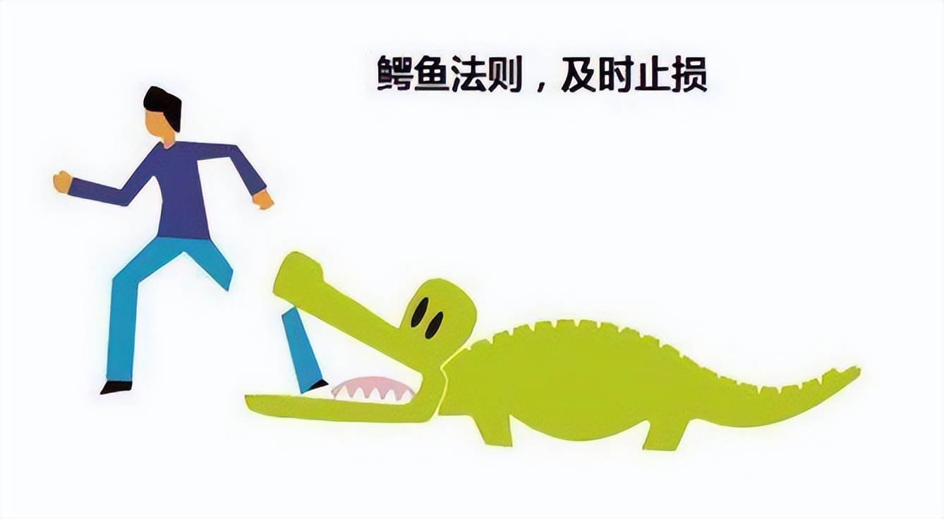 人生止损的最好方式:"鳄鱼法则"
