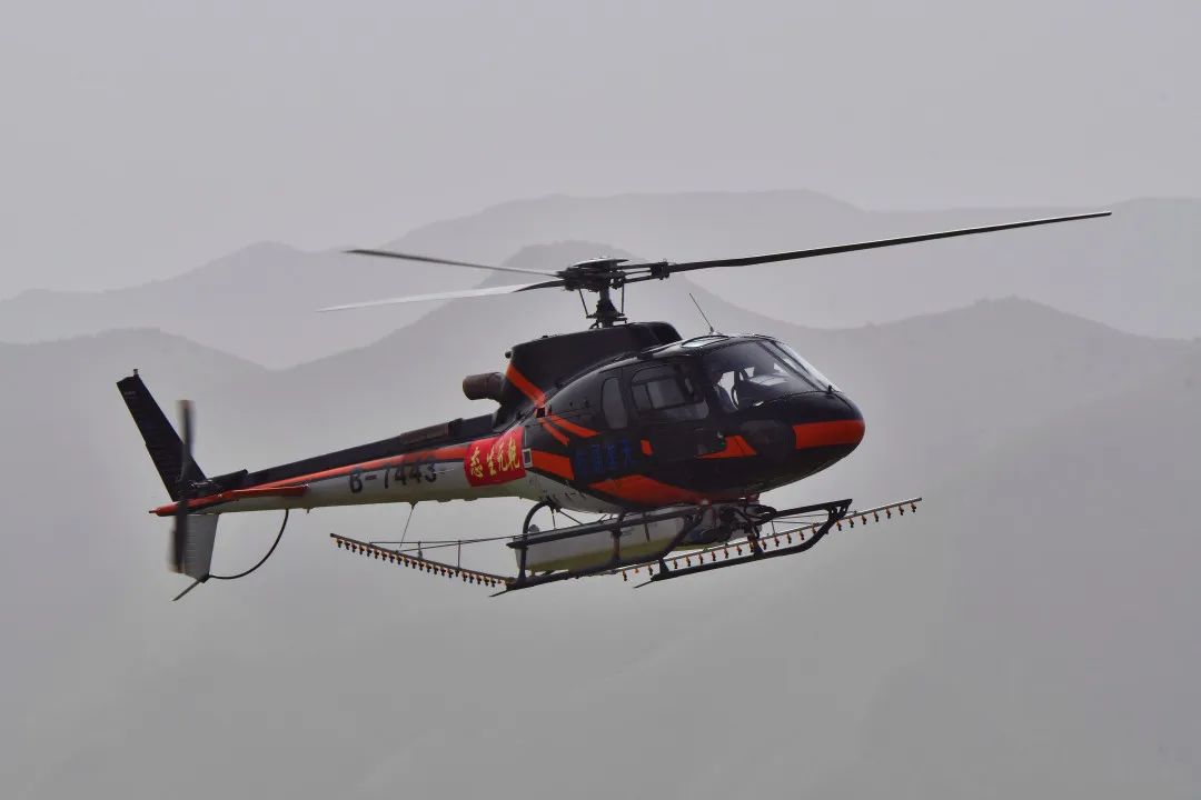 飞机来了! 肃南县启动今年森林有害生物防治 飞防总面积达22万亩