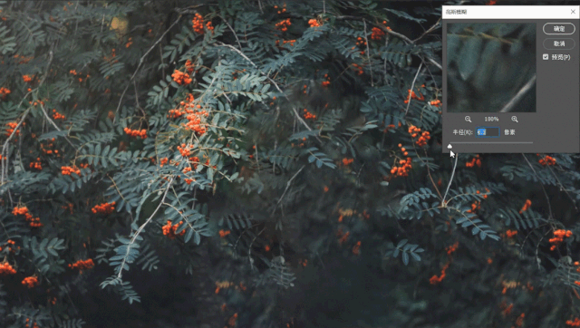 ps原创教程|虚化背景(平面背景篇)附件下载文章软件