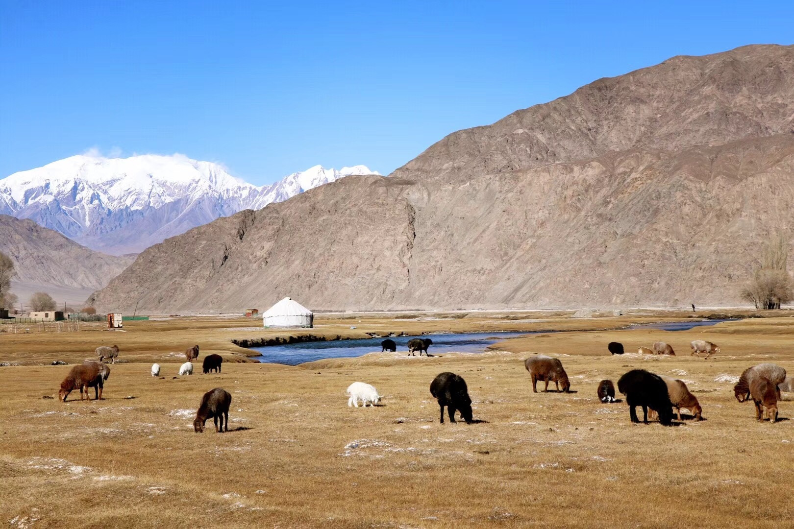 新疆一大"镇级市",与314国道相连,为南疆四大农村集市之一