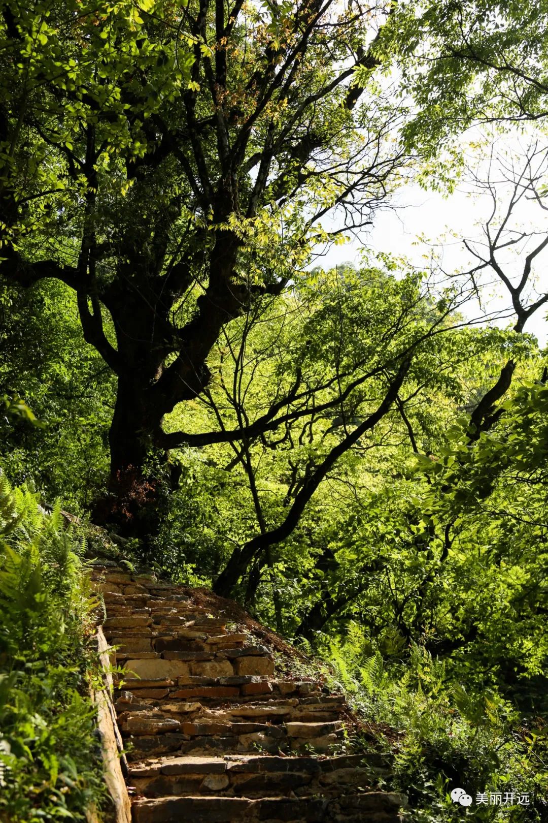 静谧山村图片