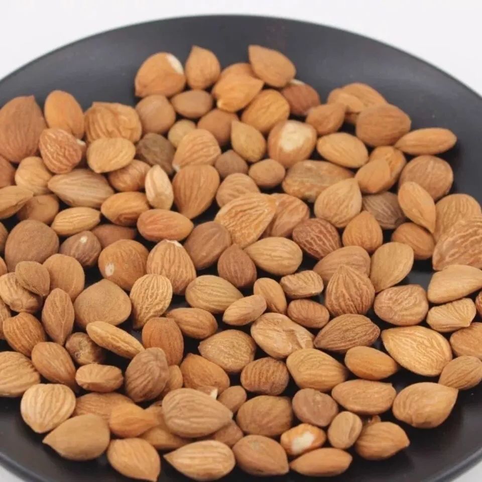 秋天适合吃的4种坚果,健脾养胃,熟吃润肺又通便!