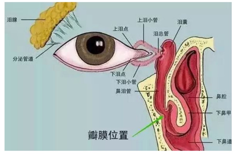 普陀眼科专家告诉你:泪点低可能是眼睛的下水道堵了!