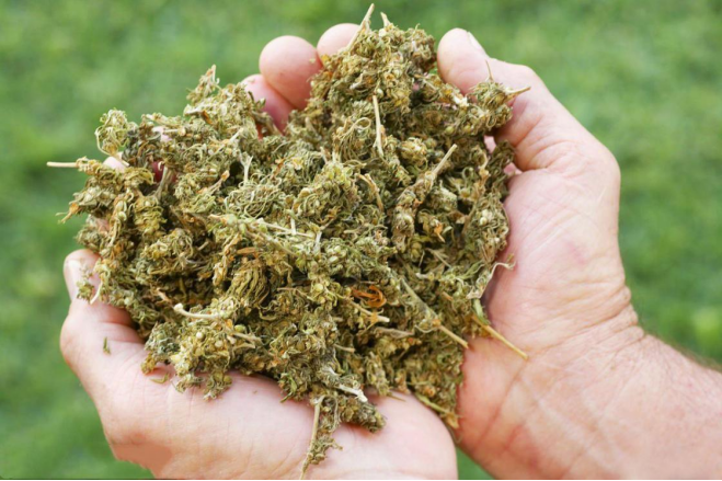 加拿大是怎么变成"加麻大"的?