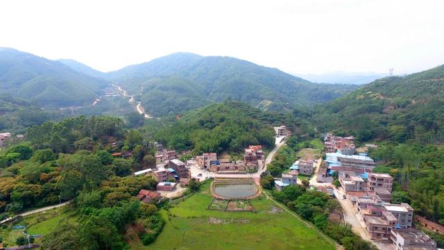 邓山的名村建设工程启动!增城梯田,原始乌榄林尽在眼前