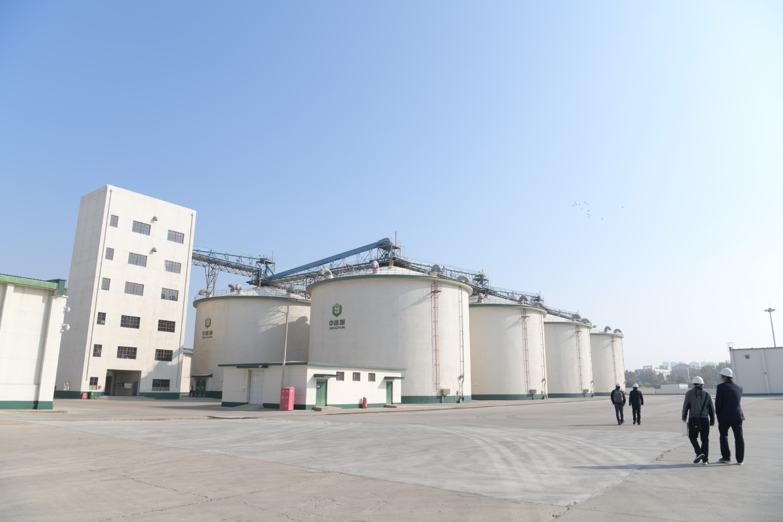 近期淡水鱼价格上行,那粮食会受影响吗?专业人士:大家可以放心