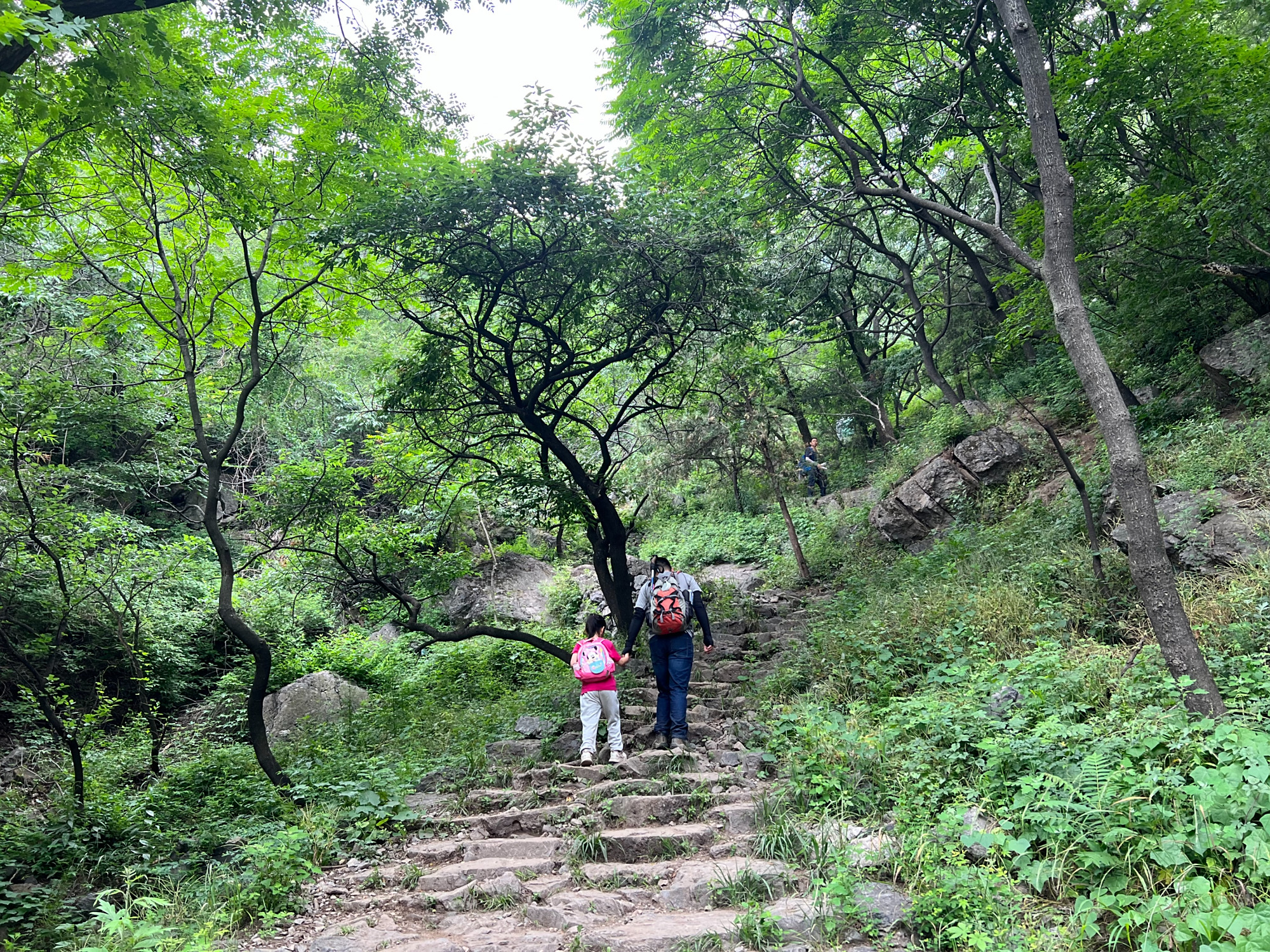 北京阳台山(北京阳台山森林公园)